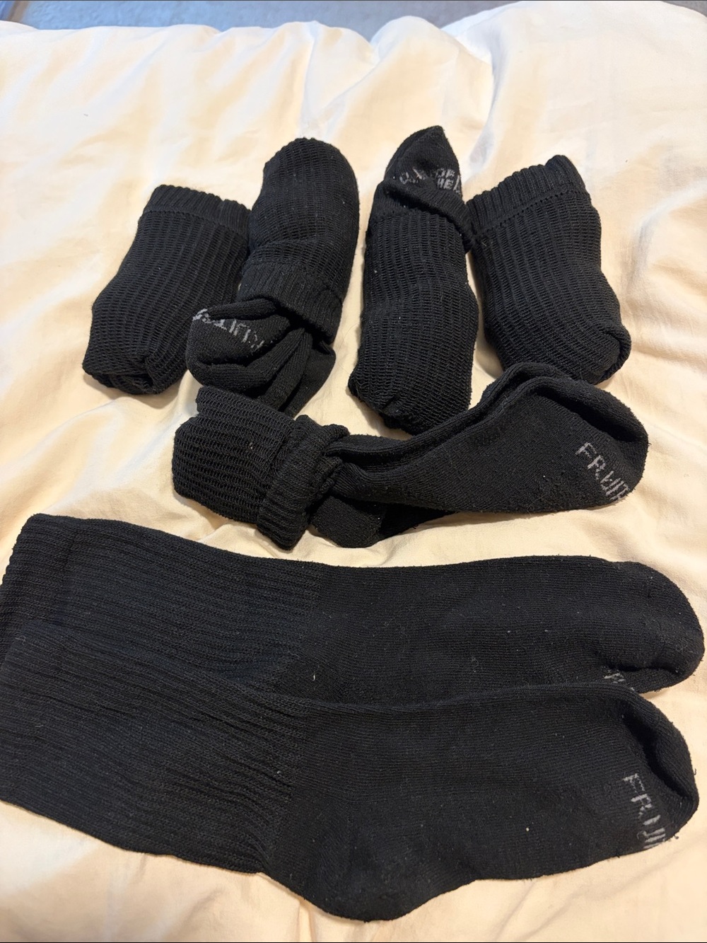 Fruit of the Loom Women’s Black Crew Socks